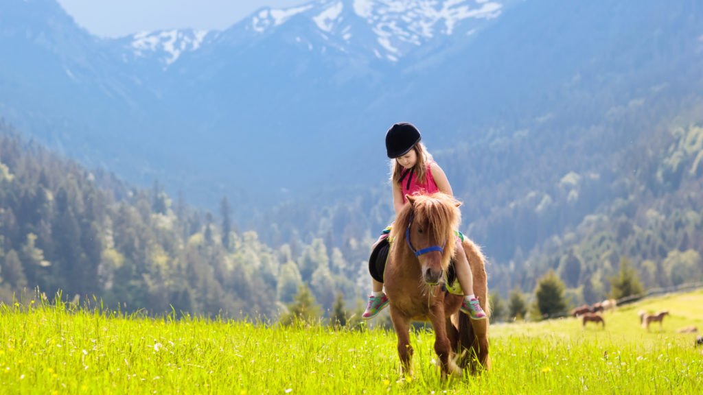 Randonnées à cheval dans les Alpes